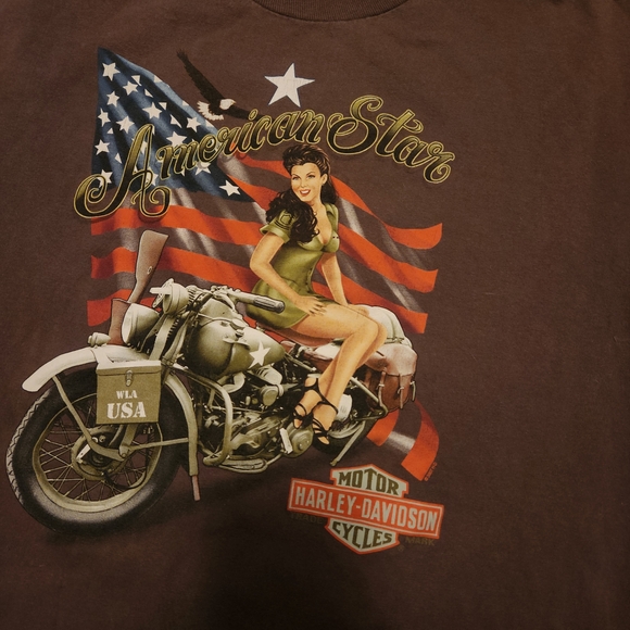 Harley-Davidson Brown Graphic T-Shirt for Men - Picture 3 of 5